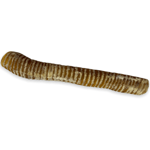 Chasing Our Tails Beef Trachea